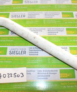 Siebrosttzinken   Holmer