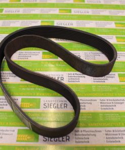 Keilrippenriemen     Holmer